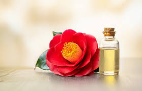 Camellia Oil